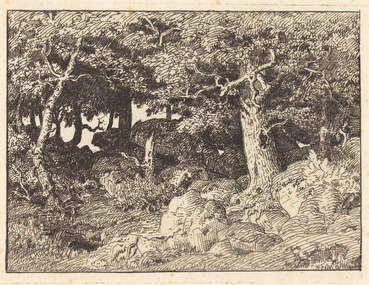 Rock Oaks by Théodore Rousseau