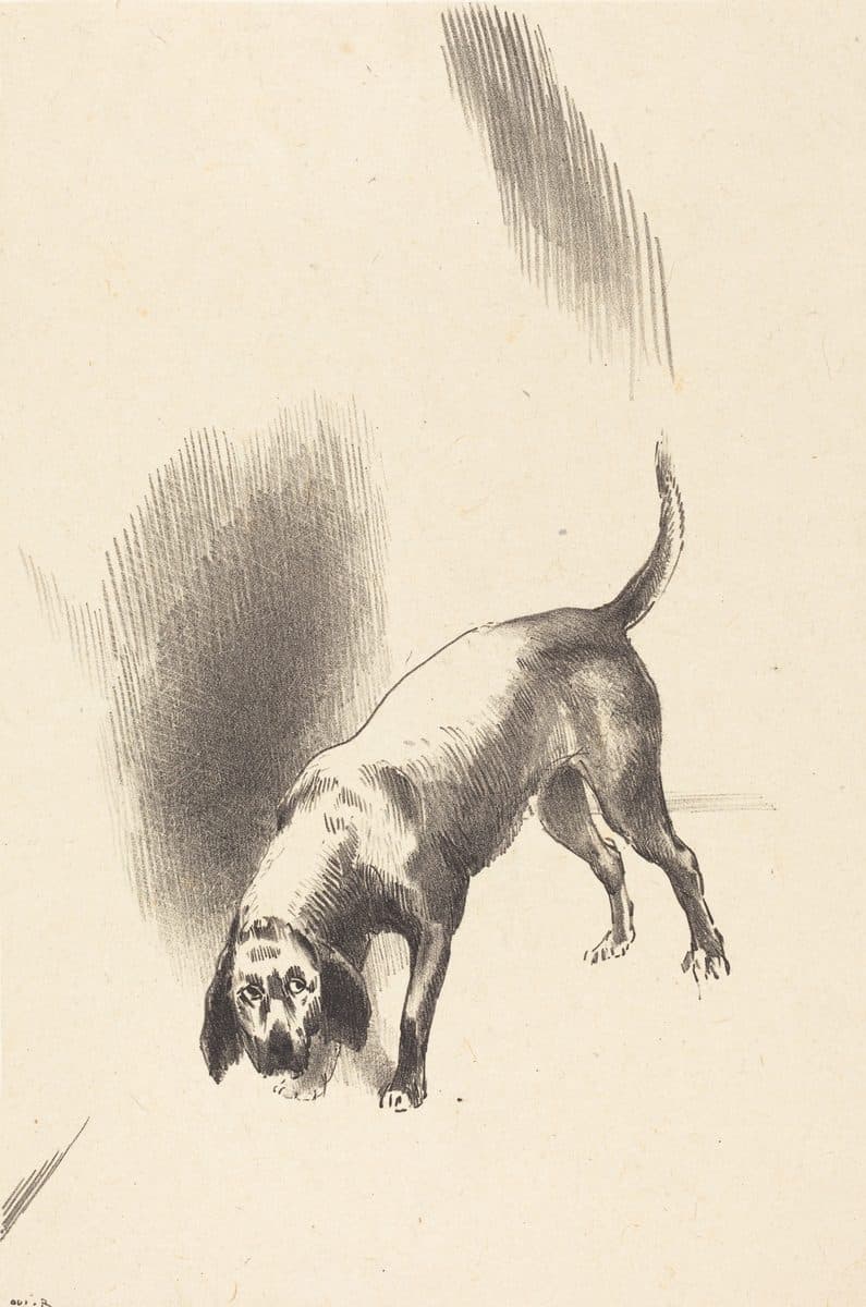The Dog by Odilon Redon