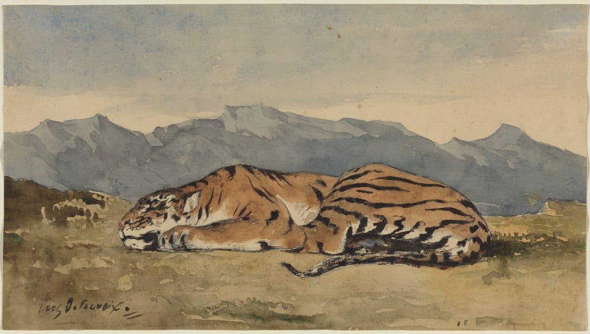 Tiger by Eugène Delacroix