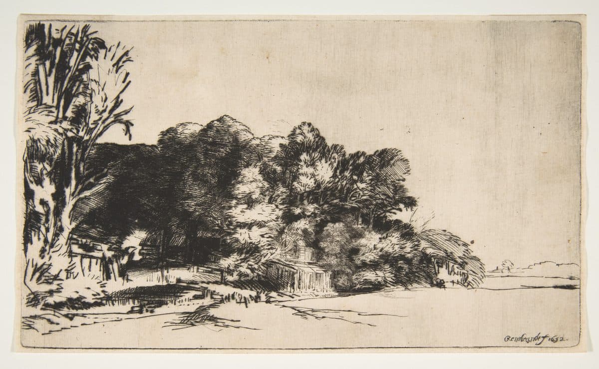 Clump of Trees with a Vista by Rembrandt (Rembrandt van Rijn)