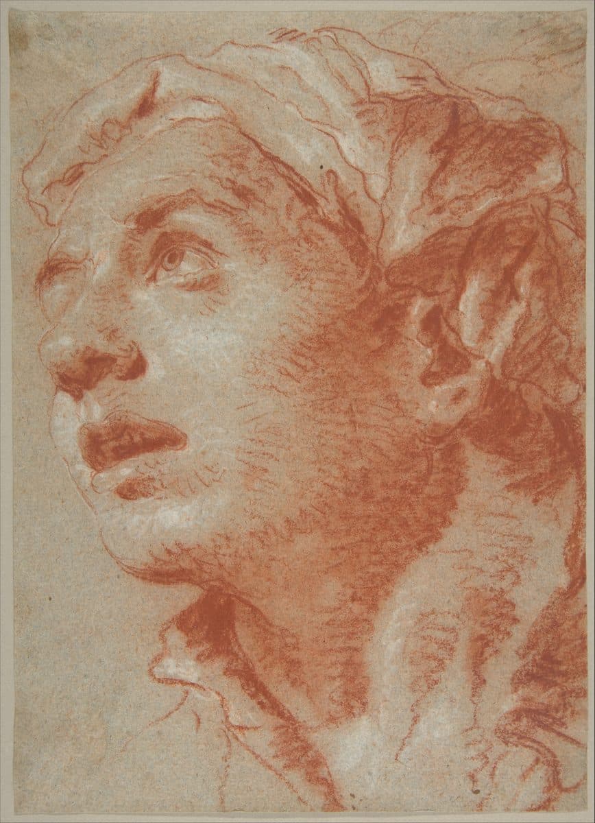 Head of a Young Man in Three-Quarter View by Giovanni Battista Tiepolo