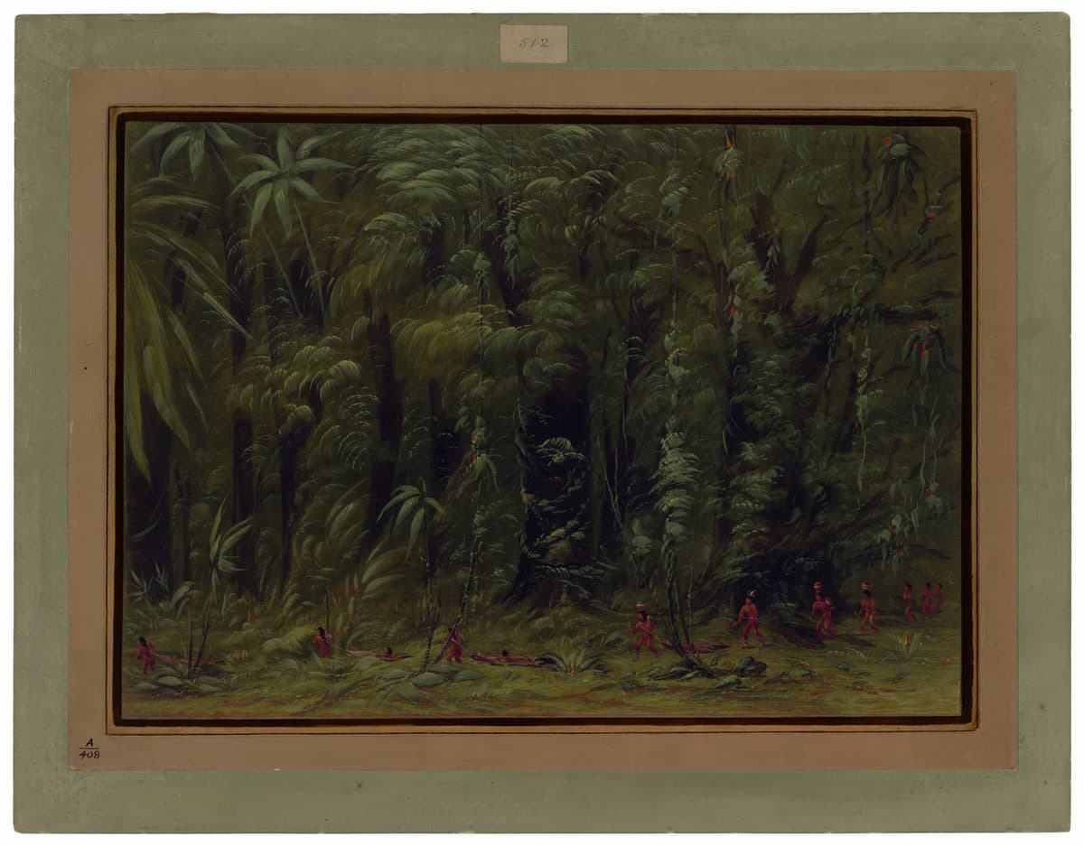 Interior of an Amazon Forest - Zurumati by George Catlin