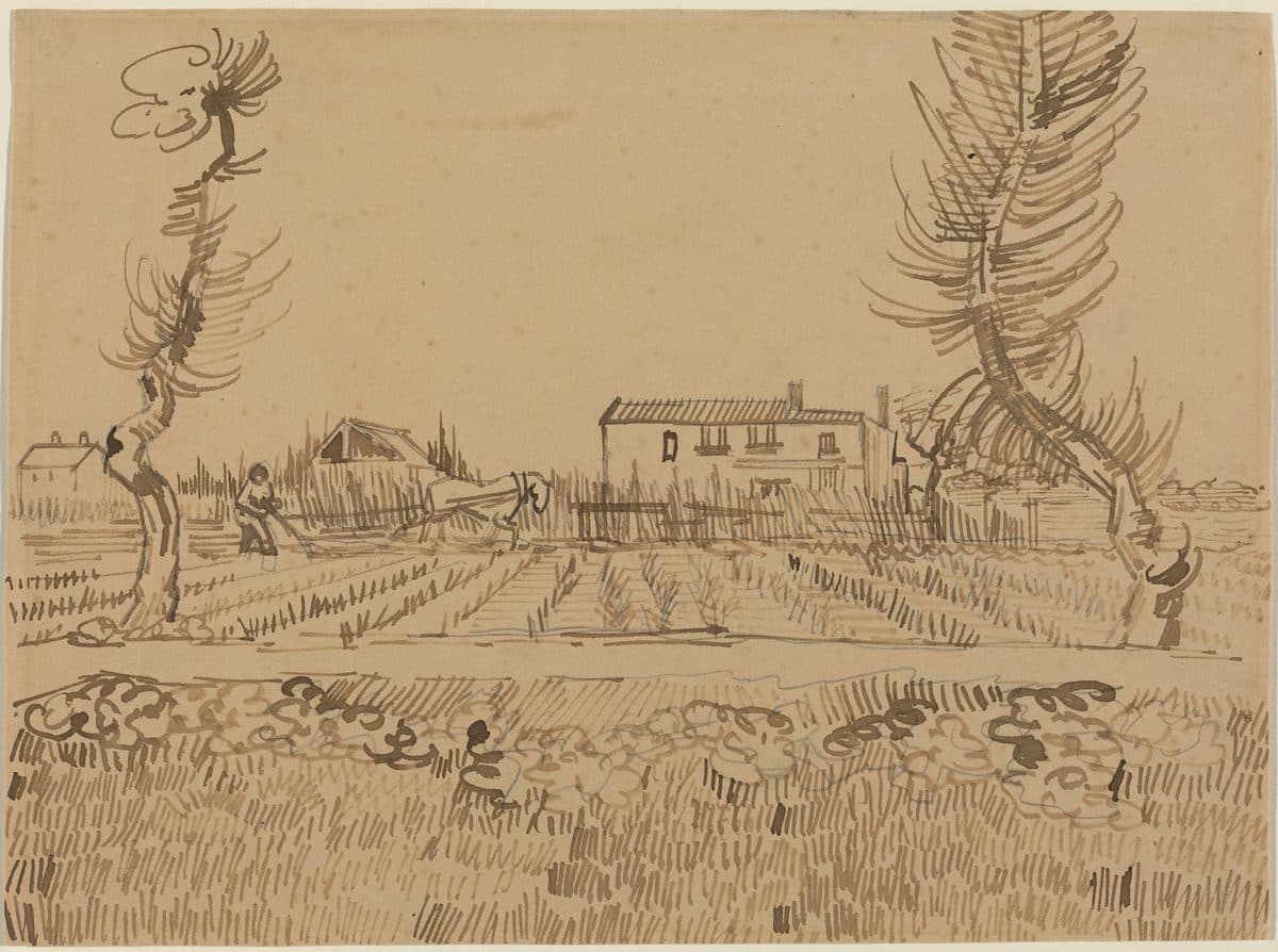 Ploughman in the Fields near Arles by Vincent van Gogh