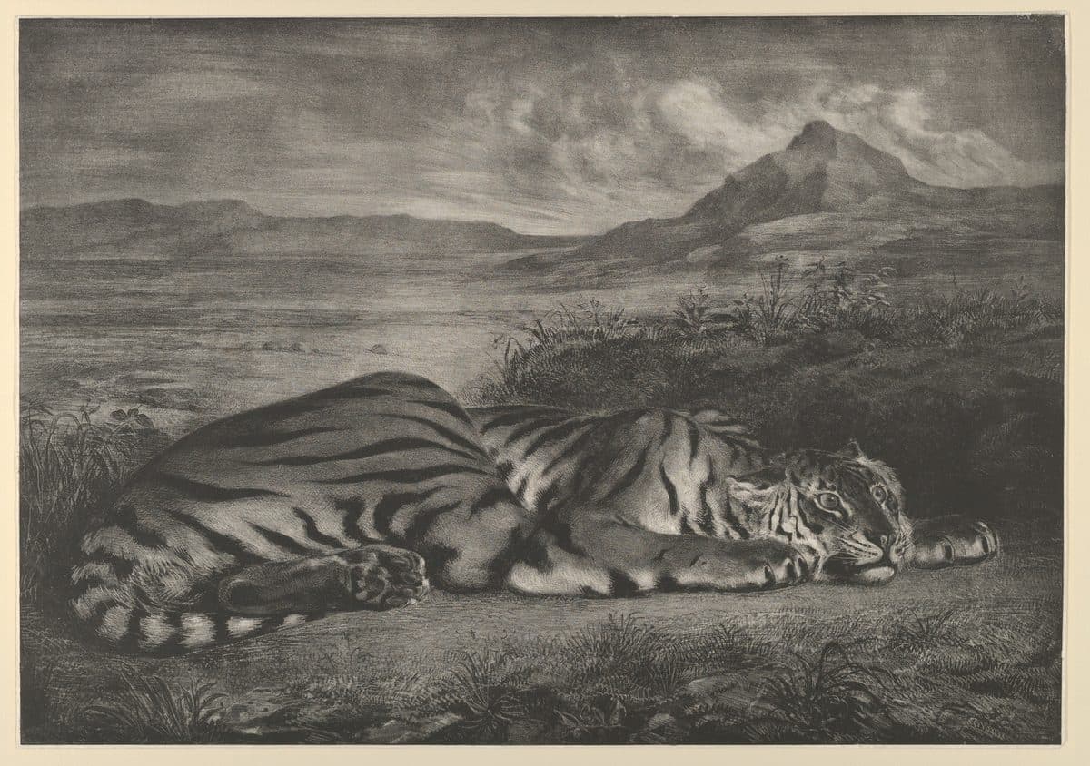 Royal Tiger by Eugène Delacroix