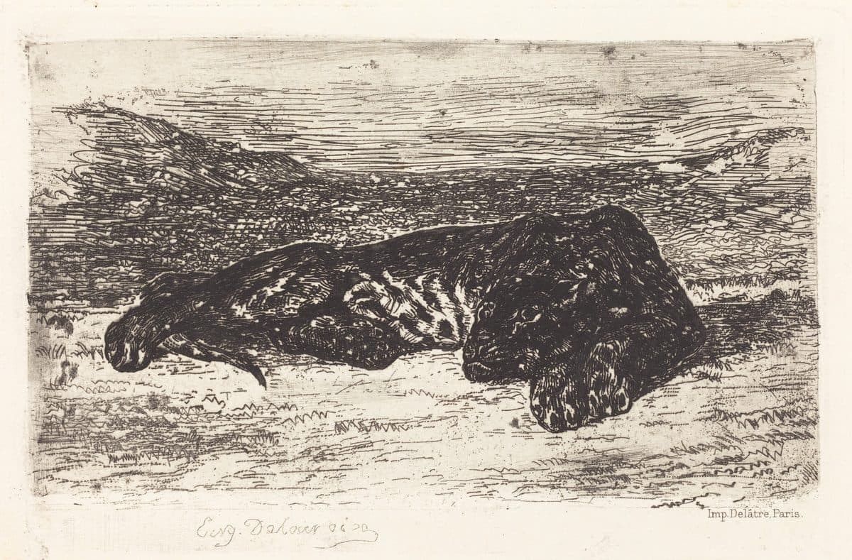 Tiger Sleeping in the Desert by Eugène Delacroix