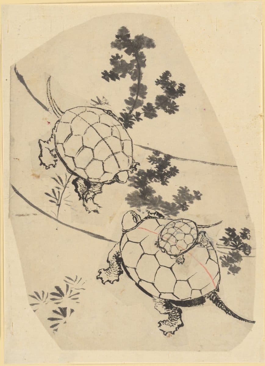 Turtles by Katsushika Hokusai