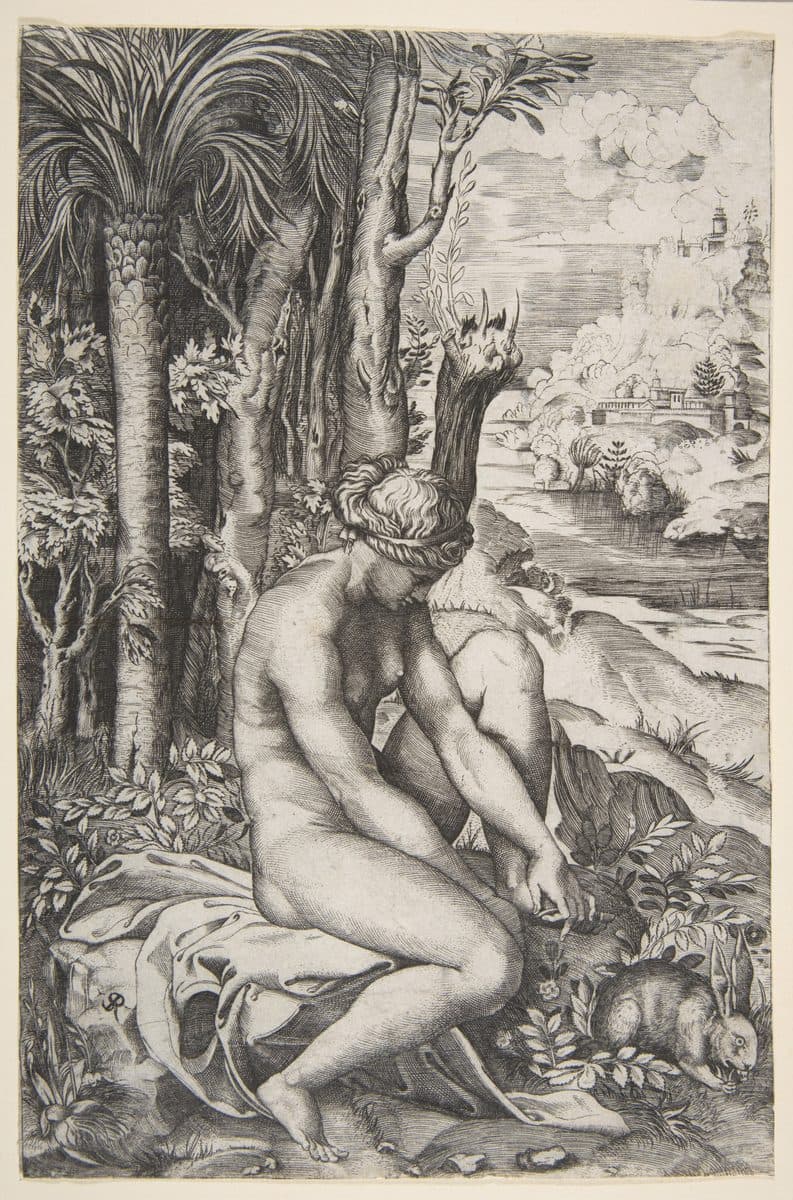 Venus removing a thorn from her left foot while seated on a cloth next to trees, a hare lower right by Marco Dente