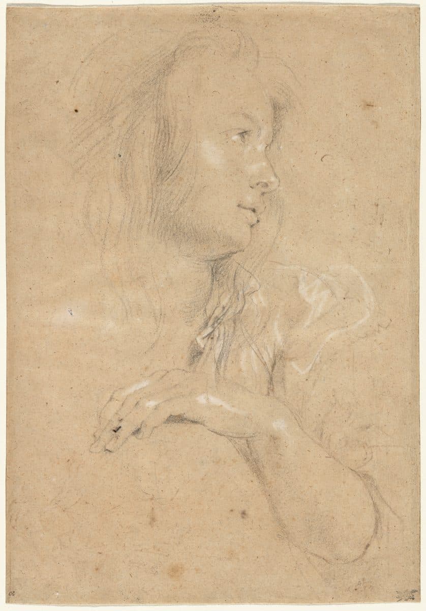 Young Woman in Profile by Sir Peter Paul Rubens