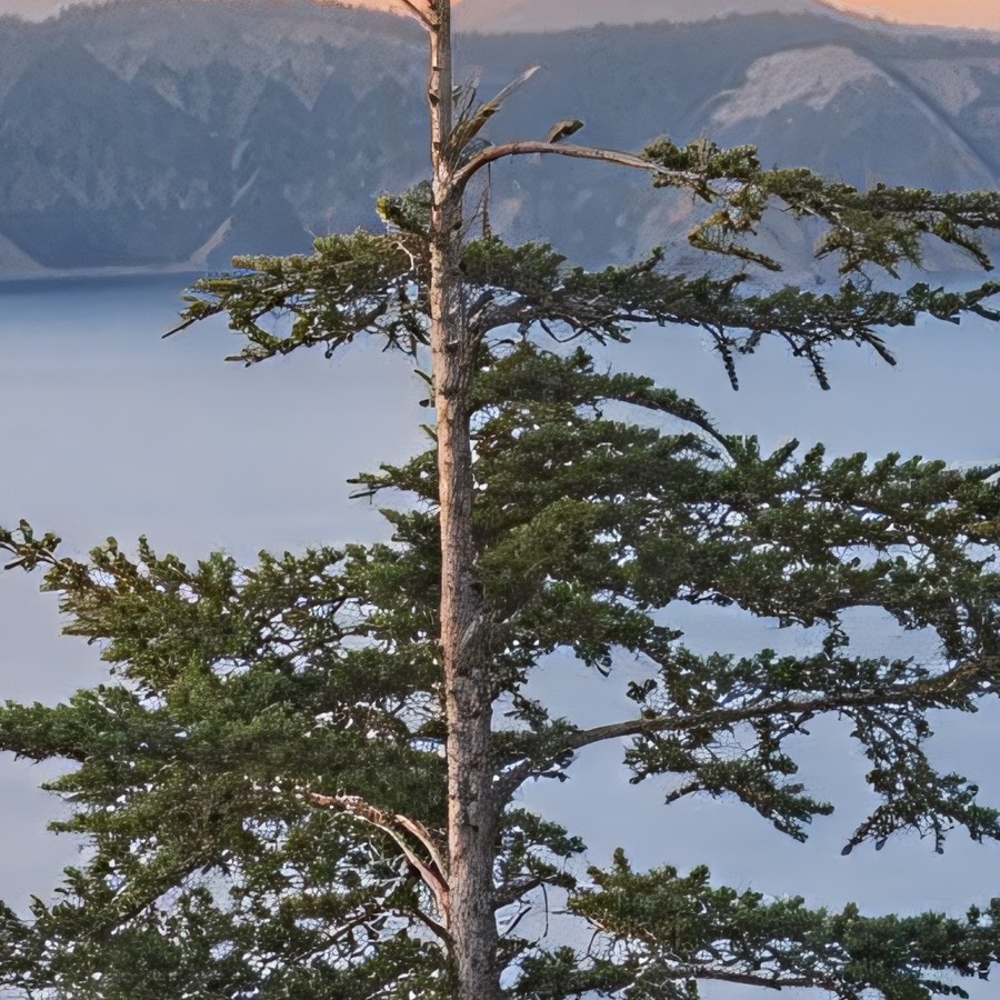 Frameable 8K, same region, at print scale